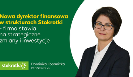 grafika-cfo.jpg