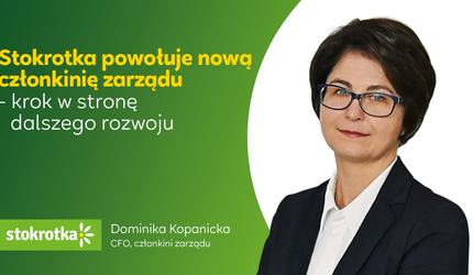 grafika-cfo-2.png
